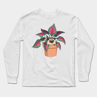 Houseplant Hedgehog Long Sleeve T-Shirt